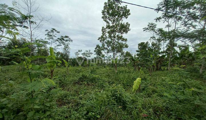 Tanah Luas Dijual Cepat  Di Cigudeg Bogor  1