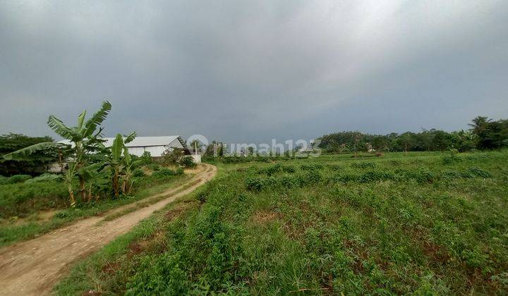 Tanah kebun dibogor cocok buat tempat istirahat 1