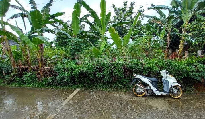 Tanah kavling di ciomas bogor jual cepat butuh uang 5
