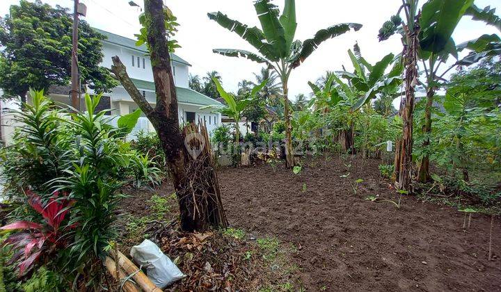 Tanah kavling di ciomas bogor jual cepat butuh uang 11