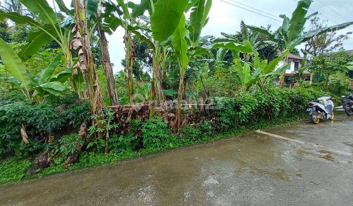 Tanah kavling di ciomas bogor jual cepat butuh uang 13