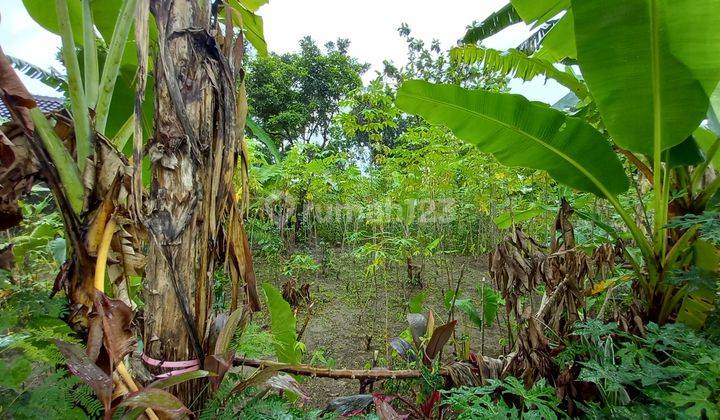 Tanah kavling di ciomas bogor jual cepat butuh uang 15