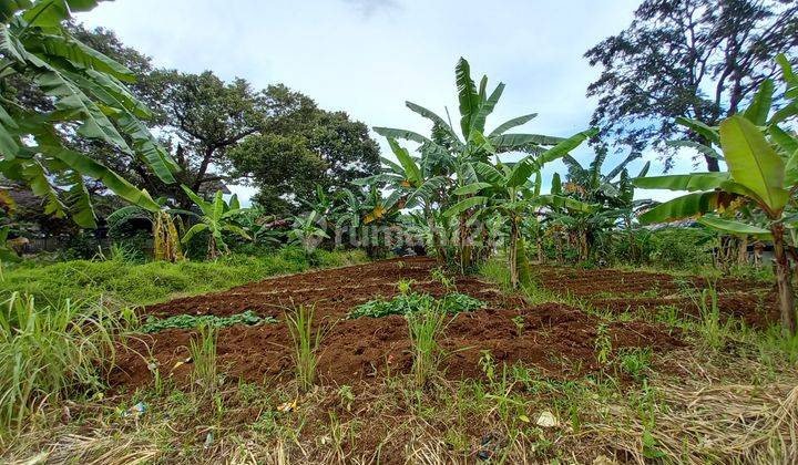 Tanah dalam kota bogor cocok buat sekolah atau pesantren 2