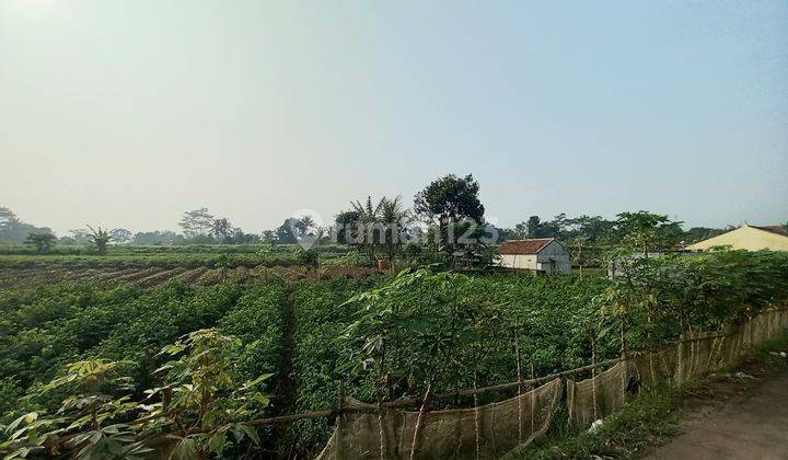 Tanah Murah Jual Cepat Di Bogor Cocok Buat Kebun Dan Kolam 1