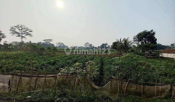 Tanah Murah Jual Cepat Di Bogor Cocok Buat Kebun Dan Kolam 2