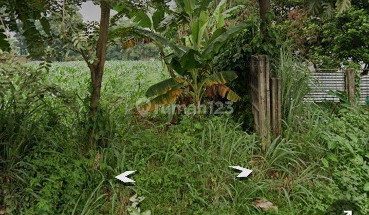 Tanah Disewakan Di Jalan Raya Kemang Parung Bogor 2