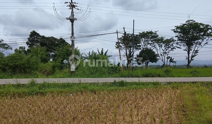 Land by the Road, Quick Sale in Tenjolaya Bogor