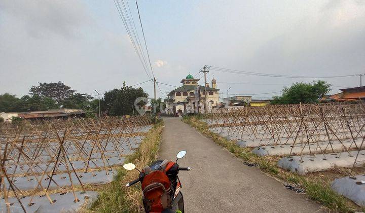 Tanah Disewakan Di Jalan Raya Dramaga Bogor Cocok Buat Usaha  2