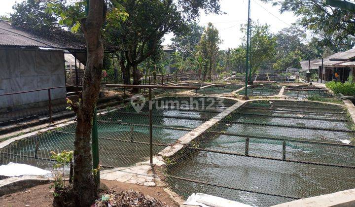 Kolam Ikan  Dan Kebun Buah Dijual Di Bogor 1