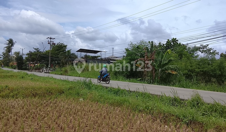 Land by the Road, Quick Sale in Tenjolaya Bogor Land by the Road, Quick Sale in Tenjolaya Bogor