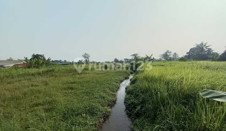 Land for Garden Rental in Cinangneng Tenjolaya Bogor