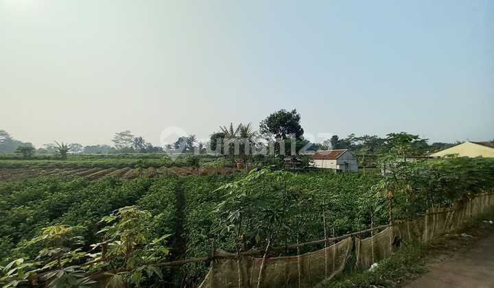Land for Garden Rental in Cinangneng Tenjolaya Bogor