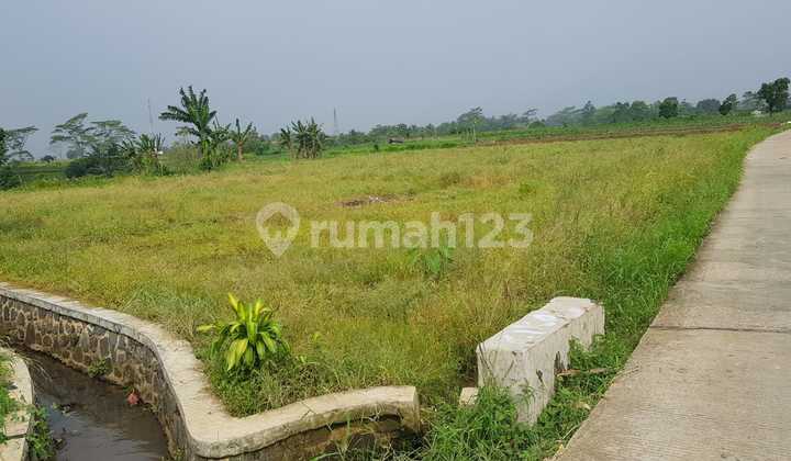 Land by the Village Road for Quick Sale in Bogor Land by the Village Road for Quick Sale in Bogor