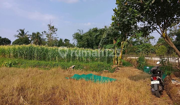 Garden Land For Sale Fast In Ciampea Bogor Garden Land For Sale Fast In Ciampea Bogor