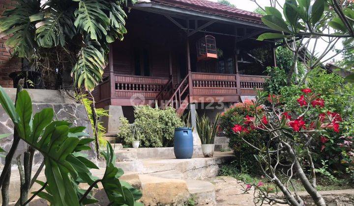 Dijual Rumah Rasa Villa  1