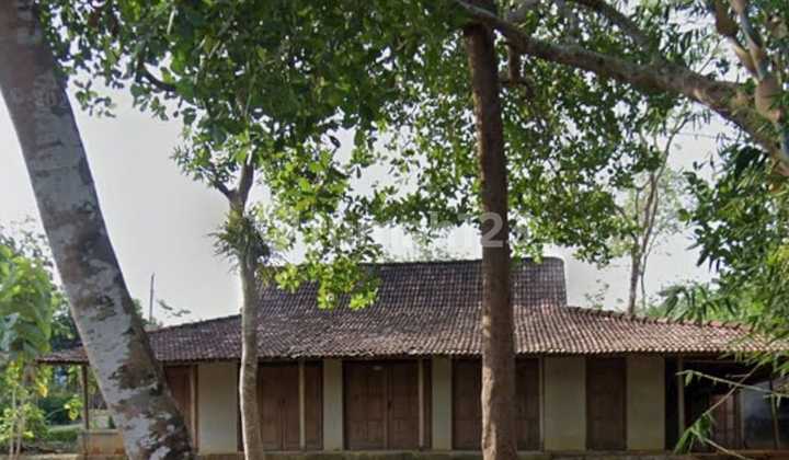 House for Sale, Extra Large Land Bonus in Ngadirojo Wonogiri House for Sale, Extra Large Land Bonus in Ngadirojo Wonogiri