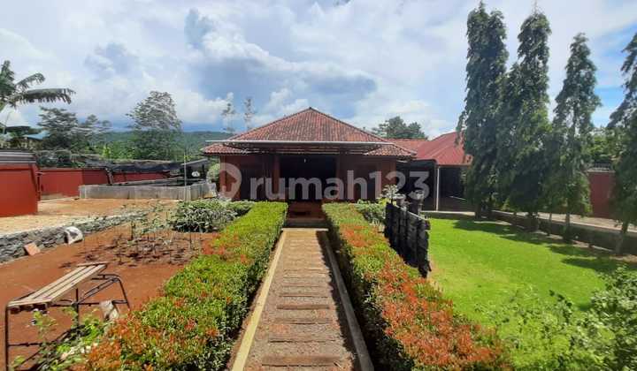 For Sale Exquisite House, Super Spacious Land in Kemang For Sale Exquisite House, Super Spacious Land in Kemang