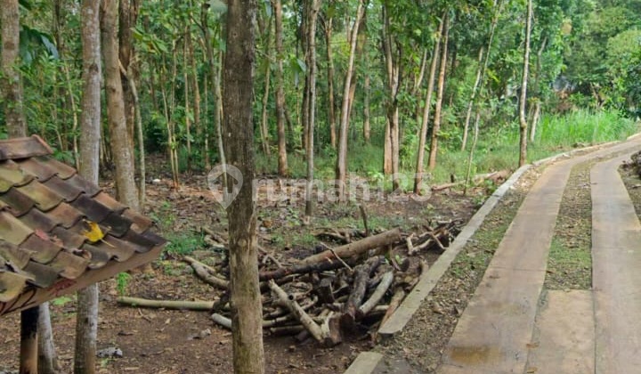 For Sale: 1,809 m² Land with SHM Certificate in Paliyan, Gunung Kidul - Near Tourist Spots, Suitable for House, Homestay, or Cafe For Sale: 1,809 m² Land with SHM Certificate in Paliyan, Gunung Kidul - Near Tourist Spots, Suitable for House, Homestay, or Cafe