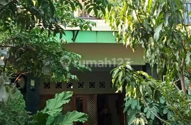 Rumah Siap Huni, Tanah Lega Di Kebun Pedes