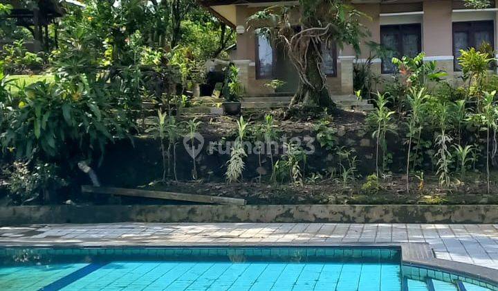 Dijual Villa Luas 2.945 M2, SHM Dekat Pusat Perbelanjaan di Ciomas Bogor 1