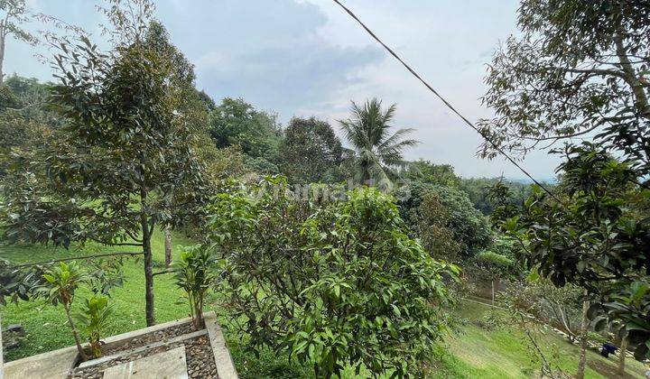 Dijual Cepat Villa Kebun Duren Monthong Siap Panen Cijeruk Bogo 12