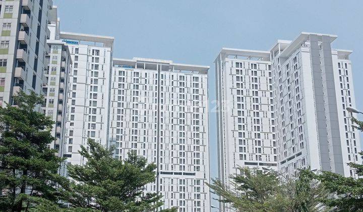 Akasa Pure Living Furnished Baru Apartemen 2