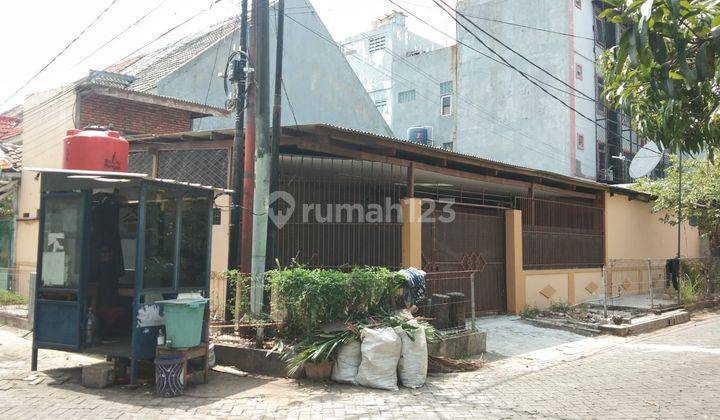 Rumah Tua Hitung Tanah Taman Palem Ls 233 Harga Bagus  1