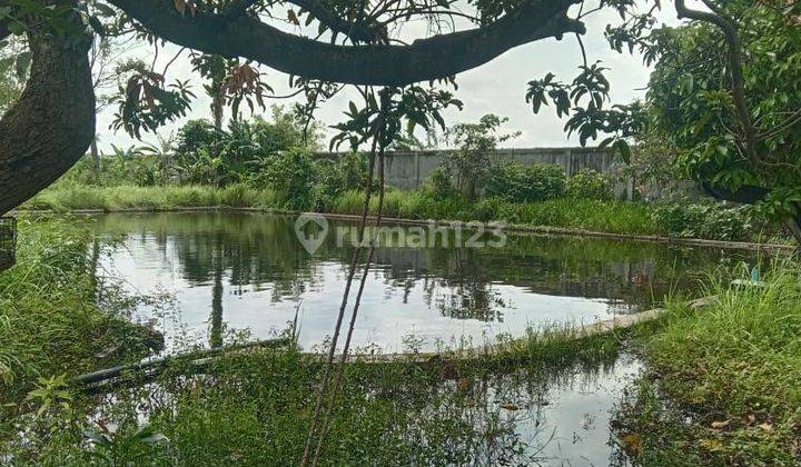 Cepat Rumah dan Tanah Hanya Hitung Luas Tanah di Karawang 2