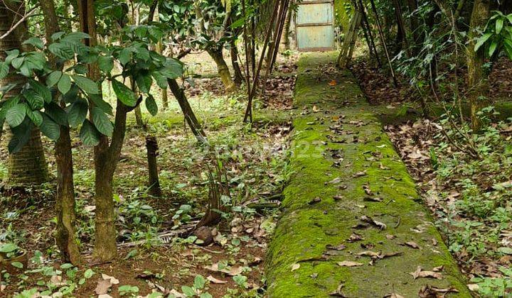 Dijual Murah Kavling Tanah Di Lokasi Strategis Griyaloka Bsd 1