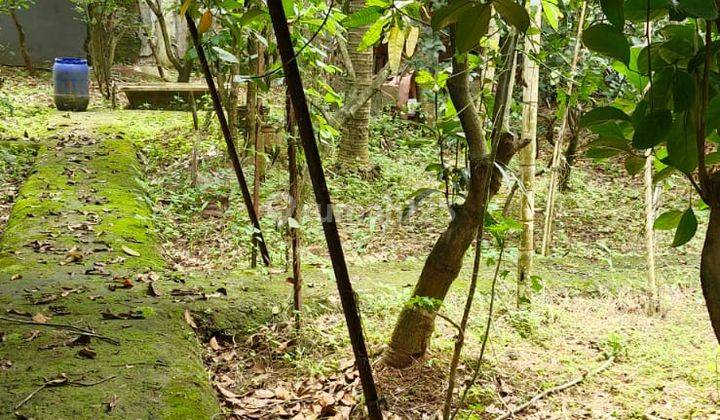 Dijual Murah Kavling Tanah Di Lokasi Strategis Griyaloka Bsd 2