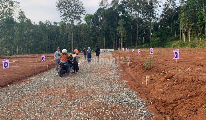 Rumah pesan bangun lokasi jatirejo 6