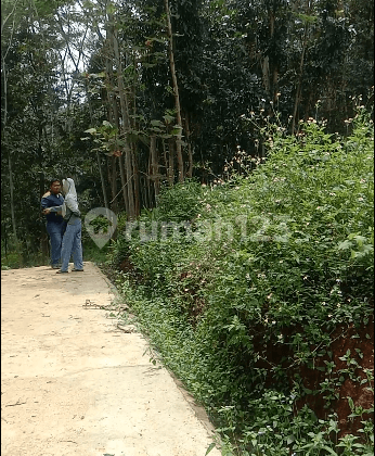 Kavling di Patemon Cocok Untuk Investasi 5