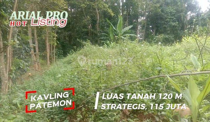 Kavling di Patemon Cocok Untuk Investasi 1