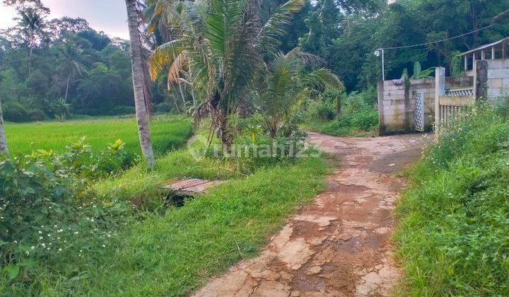 Tanah SHM Ready Pakintelan view sawah nempel pemukiman gunungpati 1