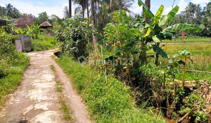 Tanah SHM Ready Pakintelan view sawah nempel pemukiman gunungpati 2