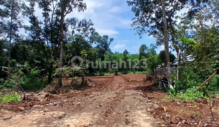 Tanah Kavling Murah Dicepoko dengan DP Mulai 50 Juta 2