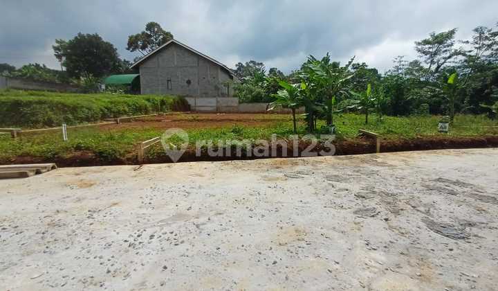 Cheap Land in Mangunsari Only 50 Meters from the Main Road 1