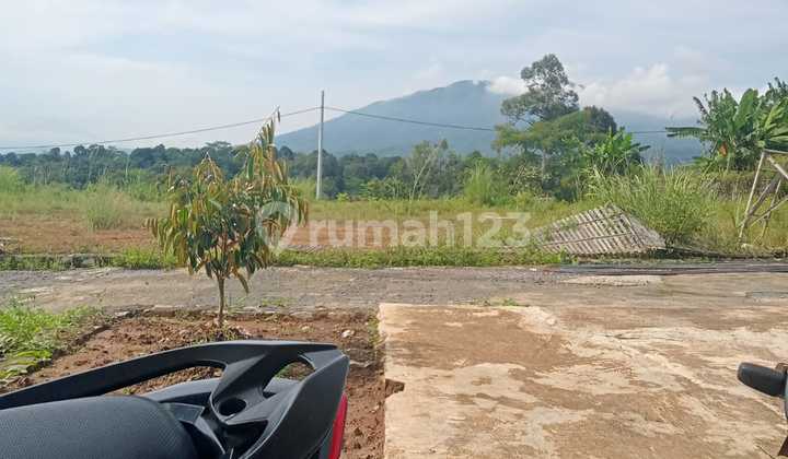 Tanah kavling murah SHM Ready sudah banyak tetangganya pakintelan gunungpati 1