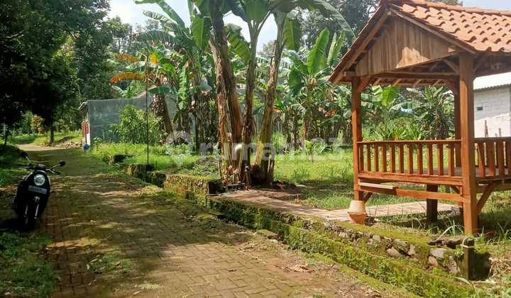 Tanah murah 100 meter dari jalan raya gunungpati unnes 1