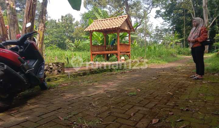 Tanah murah hanya 50 meteran dari jalan raya puntan unnes 2