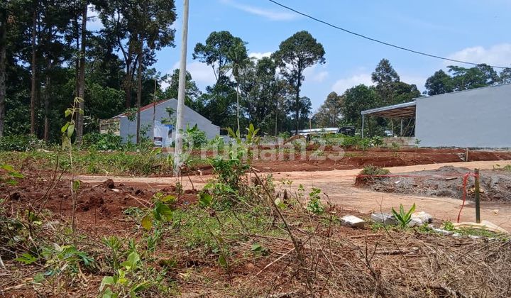 Tanah Kavling Murah Dicepoko dengan DP Mulai 50 Juta 1