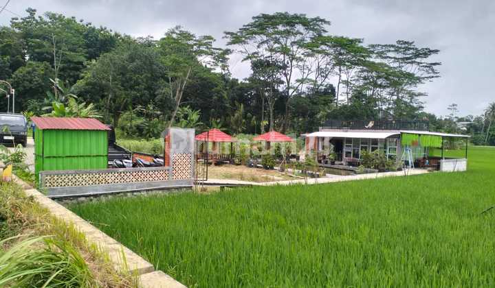 Cafe di Jual Murah Loksi Ring 2 Unnes 1