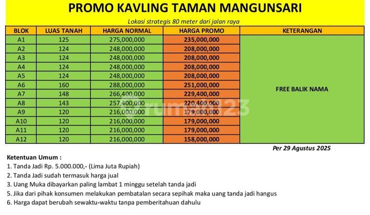 Cheap Land in Mangunsari Only 50 Meters from the Main Road 2