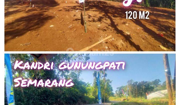 Tanah Kavling Siap Bangun Nempel Jalan Aspal Kandri Gunungpati 1