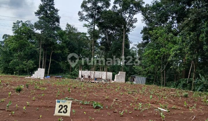Tanah murah harga mulai 90 -100 juta gunungpati bisa ditempo