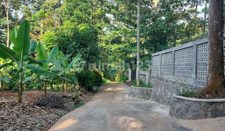 Kebun Durian Dijual Murah Gunungpati 1