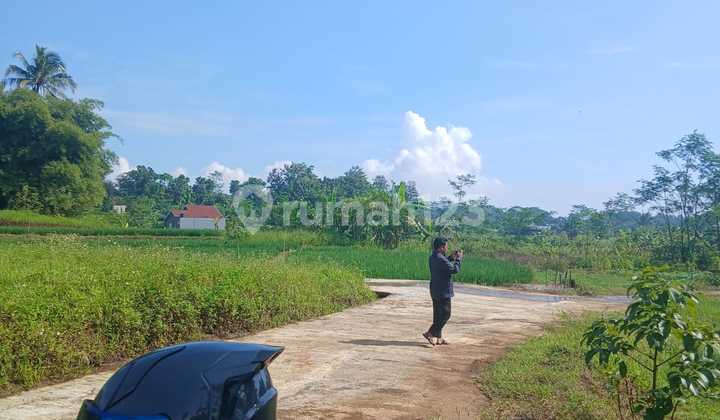 Tanah Kavling Murah Dicepoko bisa di Tempo dengan DP Minimal 50 Juta di Gunungpati 2