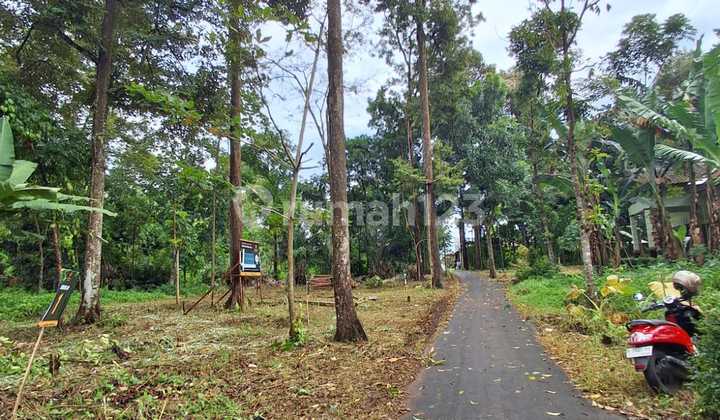 Tanah Murah Dekat Up Town Mall Bsb Mijen 2