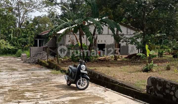 Tanah murah di puntan gunungpati hanya 100 meteran dari jalan raya 2