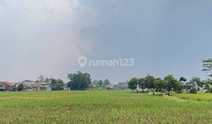 Dijual Tanah Murah di Bojongsari Bojongsari 1